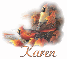 Autumn Colors